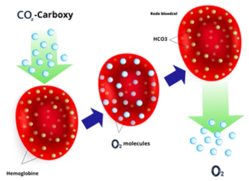Carboxytherapie 02